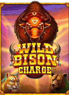 ทำไมต้องมีทางเข้า sbobet สำหรับนักเดิมพันมือใหม่